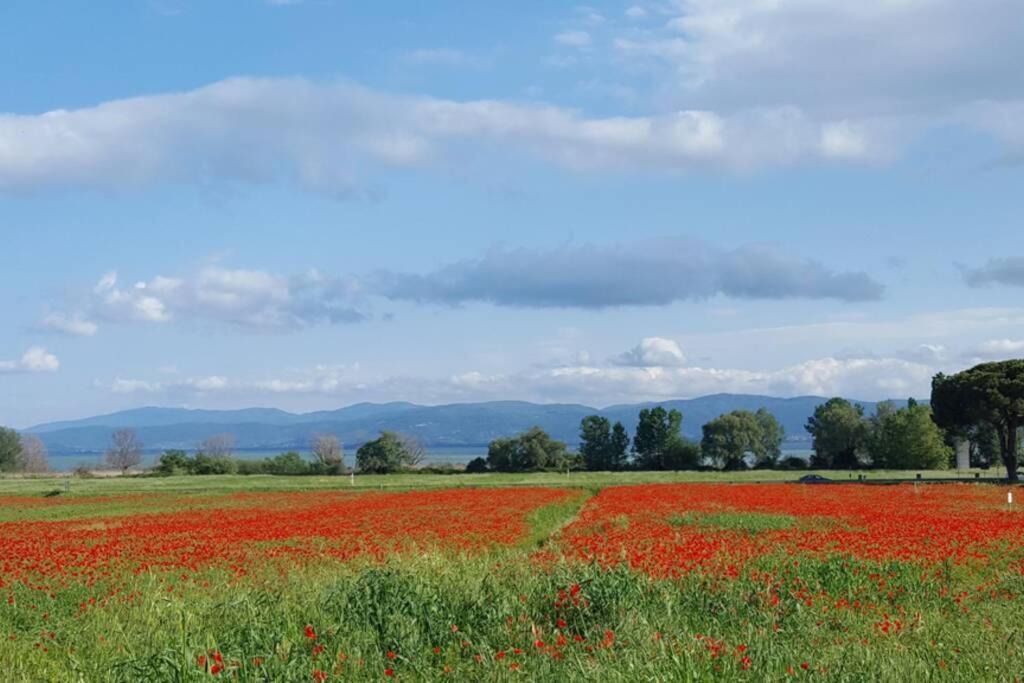 Bellavista La Tua Romantica Vacanza Sul Trasimeno Castiglione del Lago Exterior photo