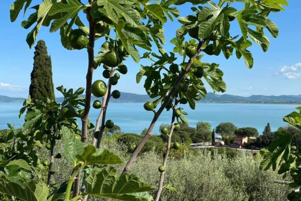 Bellavista La Tua Romantica Vacanza Sul Trasimeno Castiglione del Lago Exterior photo