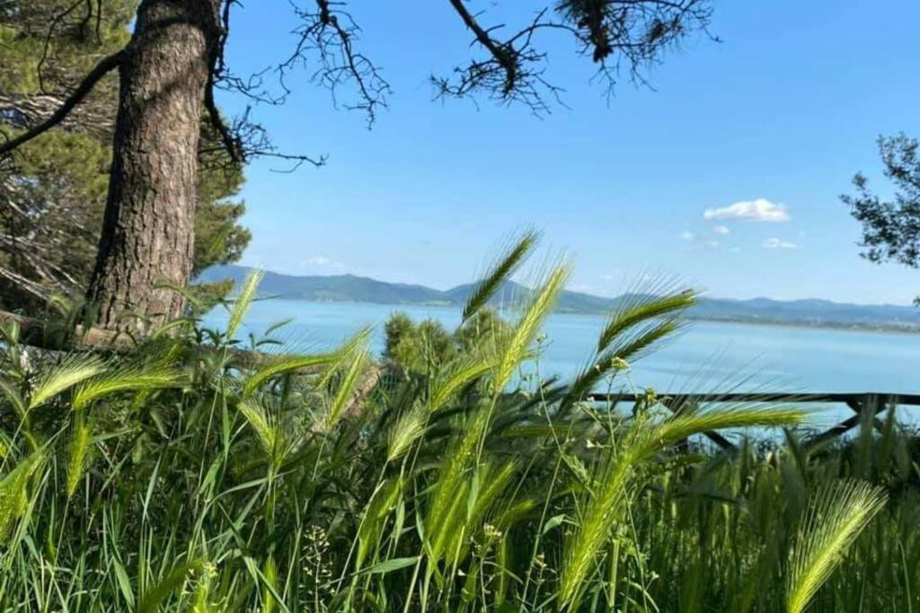 Bellavista La Tua Romantica Vacanza Sul Trasimeno Castiglione del Lago Exterior photo